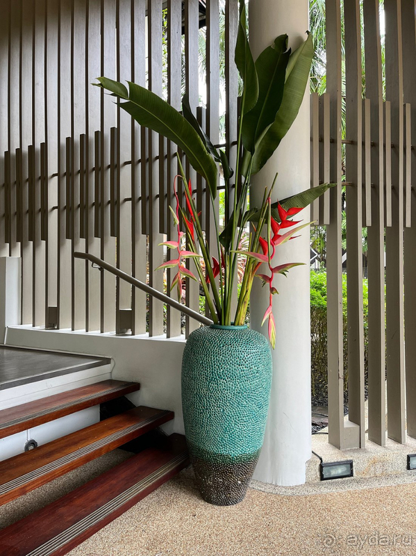 На 100%, отпуск удался !!!!