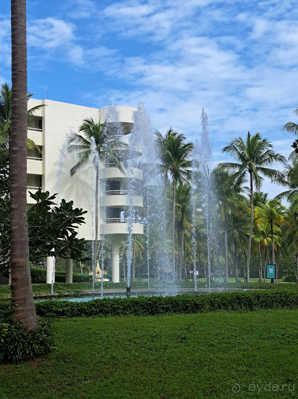 Хотела вернуться и вернулась!