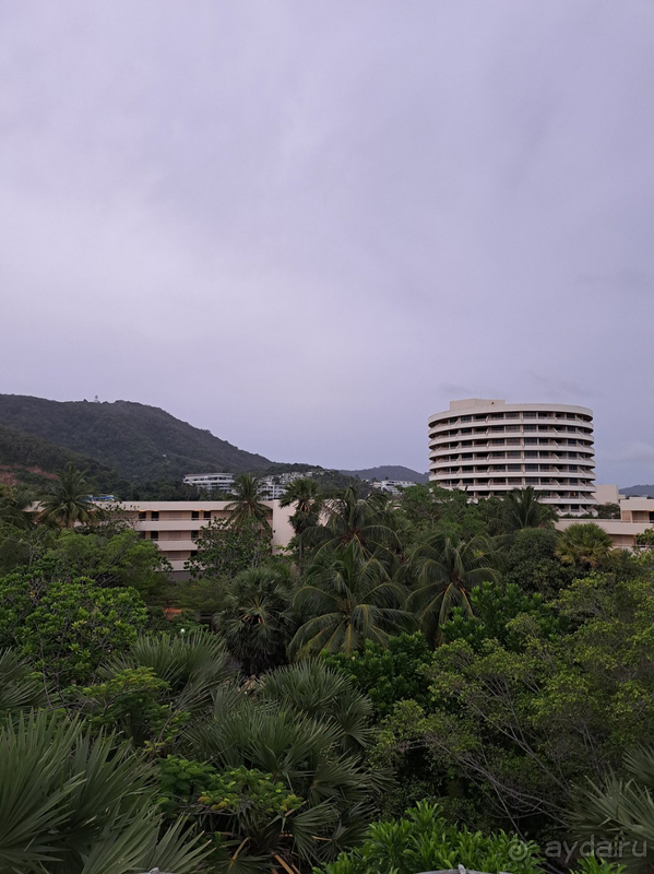 Хотела вернуться и вернулась!