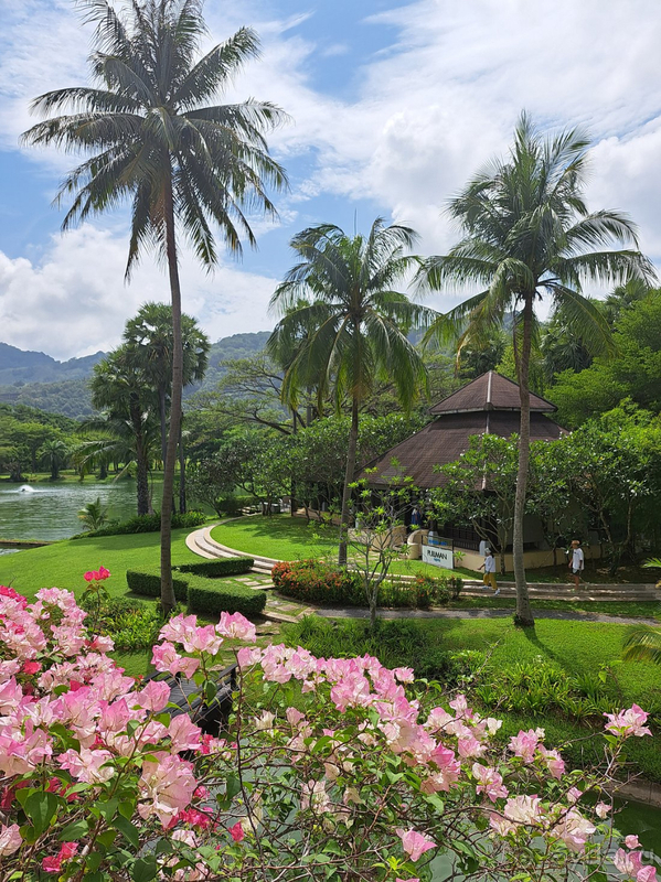 Хотела вернуться и вернулась!