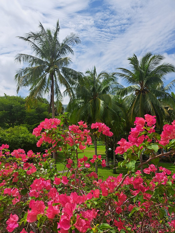 Хотела вернуться и вернулась!