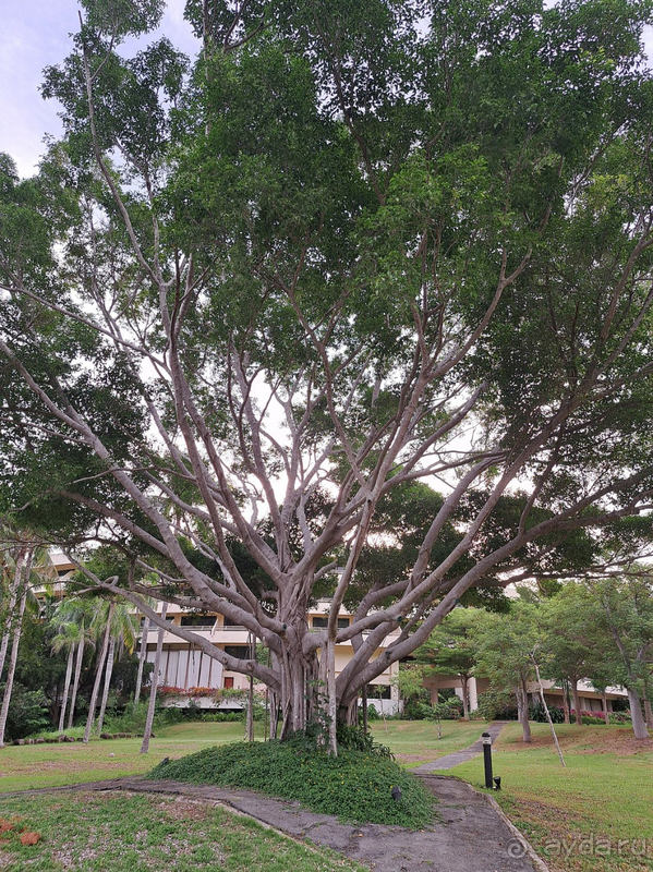 фото Pullman Phuket Karon Beach Resort