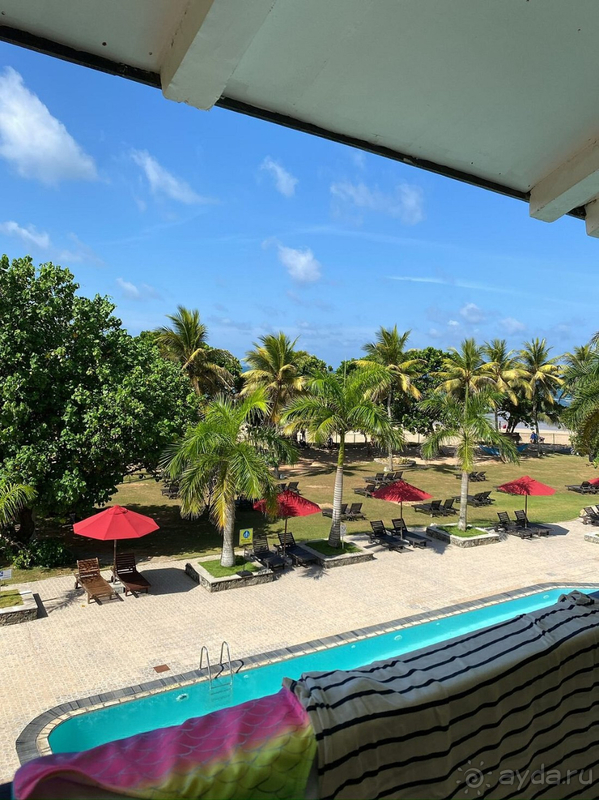 фото The Palms Hotel