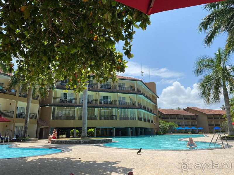 фото The Palms Hotel