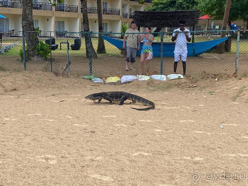 На "троечку"