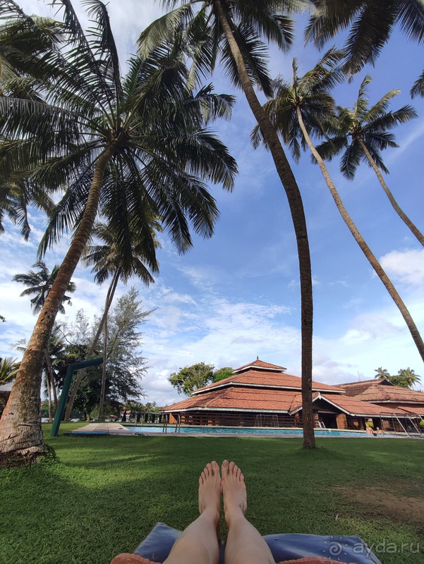 Прекрасная природа, вкусная еда, болото и бурундуки в номерах, нападение пляжных мошек и мошенники-таксисты