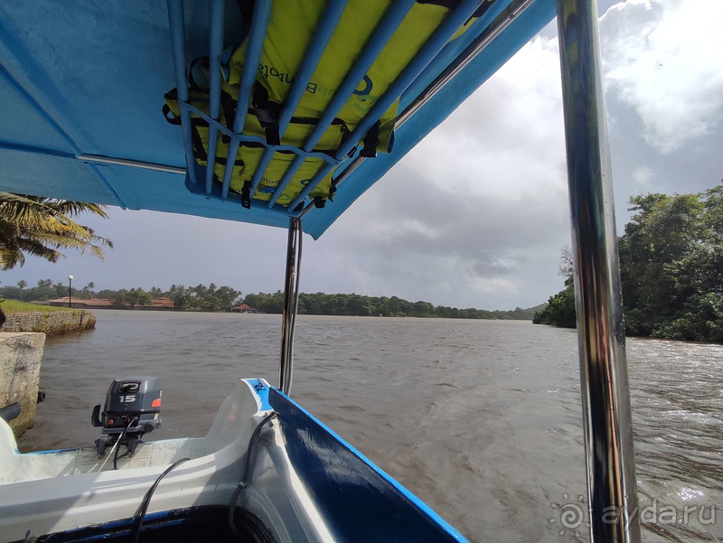 Прекрасная природа, вкусная еда, болото и бурундуки в номерах, нападение пляжных мошек и мошенники-таксисты