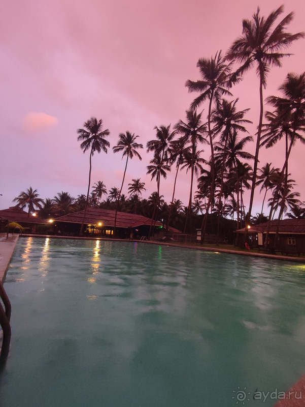 Прекрасная природа, вкусная еда, болото и бурундуки в номерах, нападение пляжных мошек и мошенники-таксисты