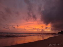 Прекрасная природа, вкусная еда, болото и бурундуки в номерах, нападение пляжных мошек и мошенники-таксисты