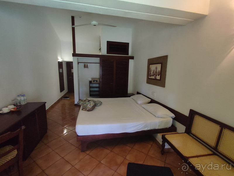 Прекрасная природа, вкусная еда, болото и бурундуки в номерах, нападение пляжных мошек и мошенники-таксисты