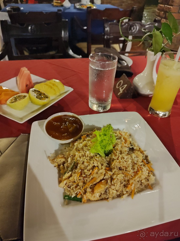 Прекрасная природа, вкусная еда, болото и бурундуки в номерах, нападение пляжных мошек и мошенники-таксисты