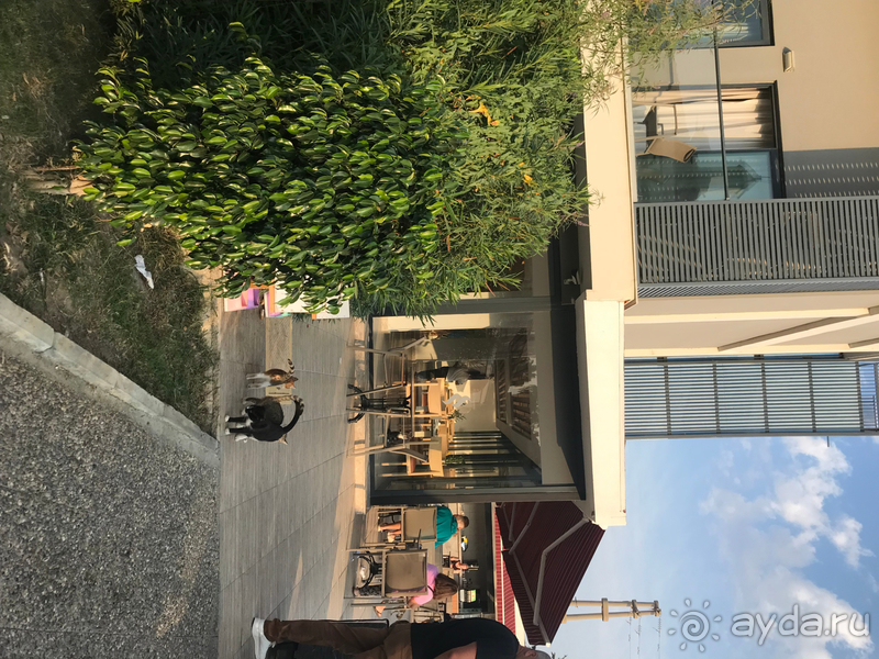 Не покупайте тур в этот отель,если не хотите быть униженным и голодным