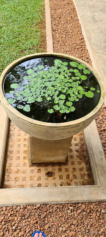 Отличный отель !!!!