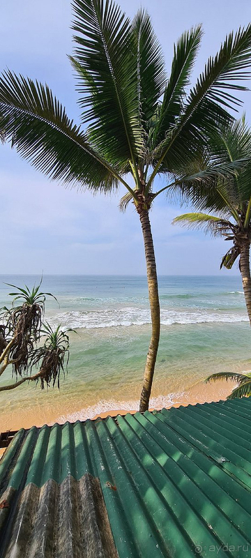 Отличный отель !!!!