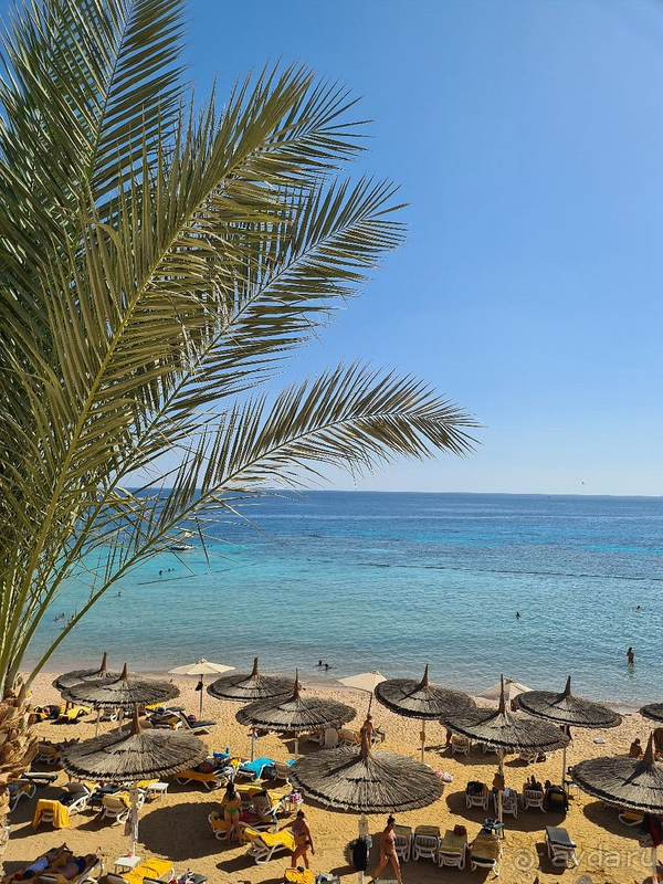 Лучший и незабываемый отель в Египте! Лучший и незабываемый отель в Египте!