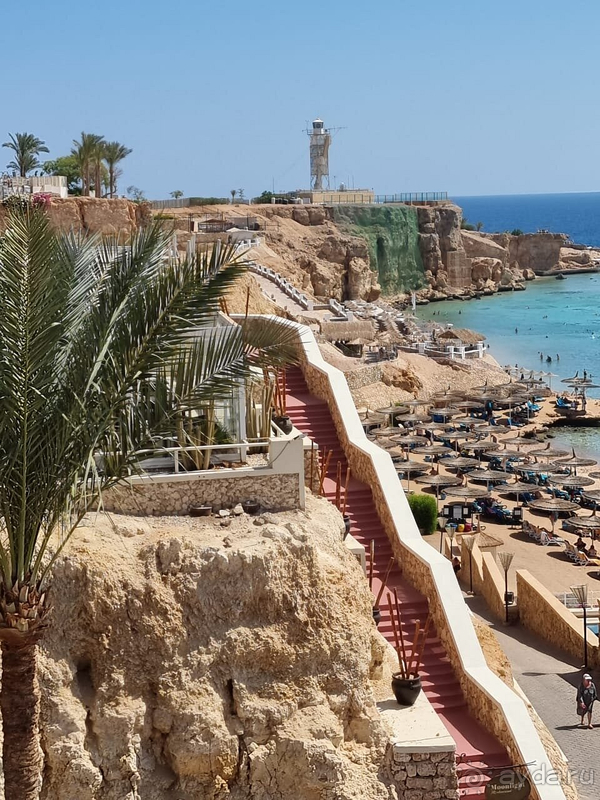 Лучший и незабываемый отель в Египте!