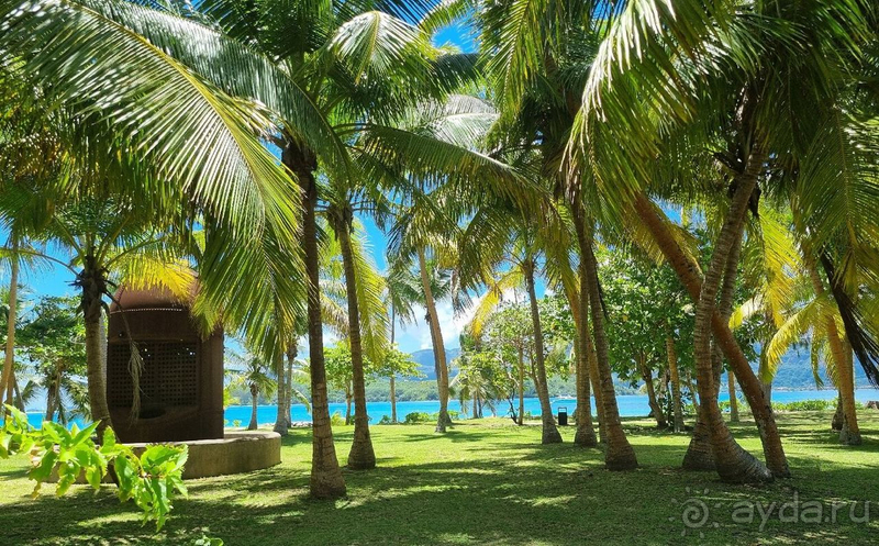 На Сейшелы с тремя детьми