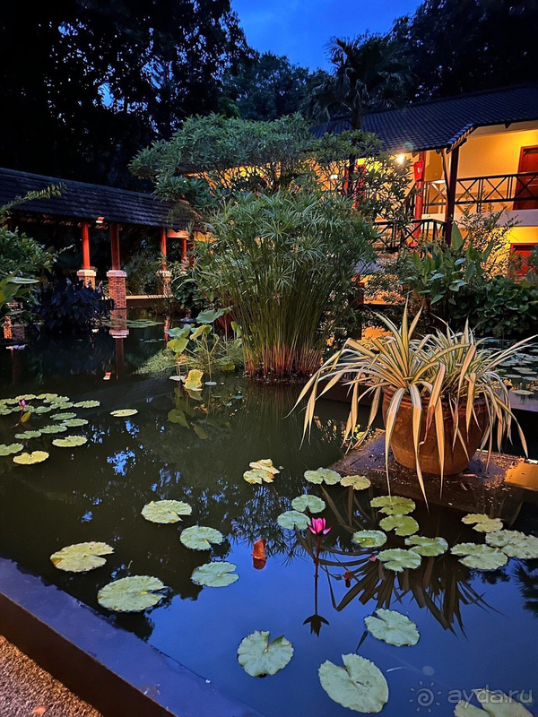 Шикарный отдых для всей семьи 