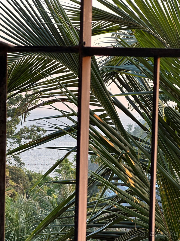 Разочарование.