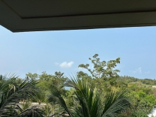 Разочарование.