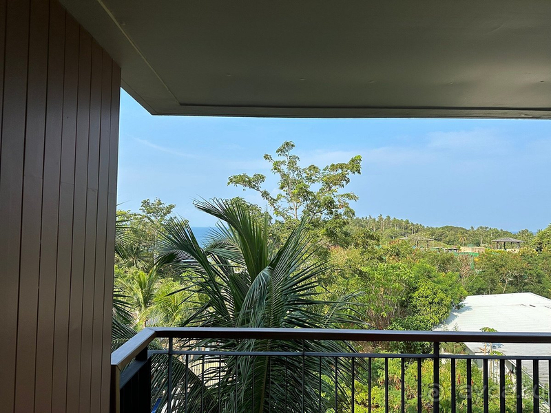 Разочарование.