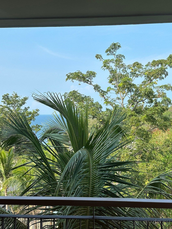 Разочарование.