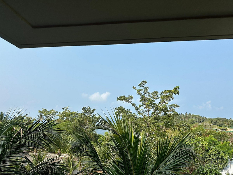 Разочарование.