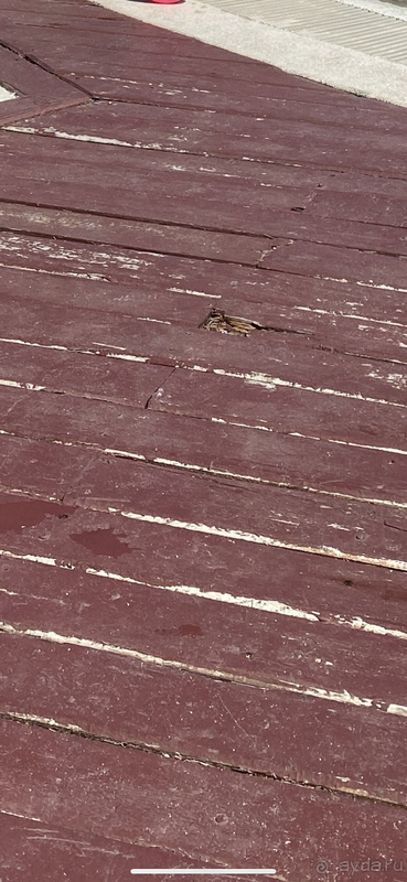 Не рекомендую