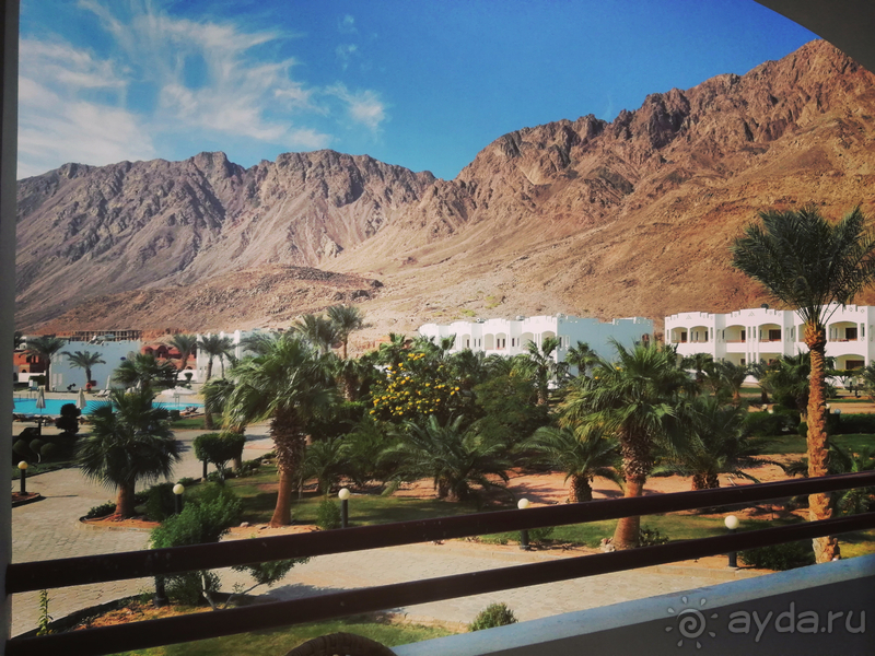 Отзыв об отдыхе в отеле Happy Life Village 