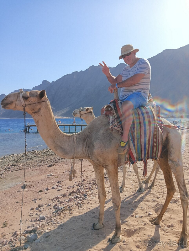 Отличный отдых