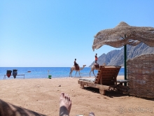 Отличный отдых