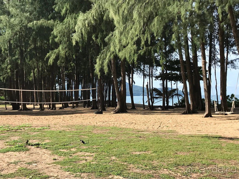 Splash отличный семейный отель