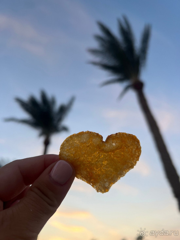 Хотим вернуться еще в этот отель❤️