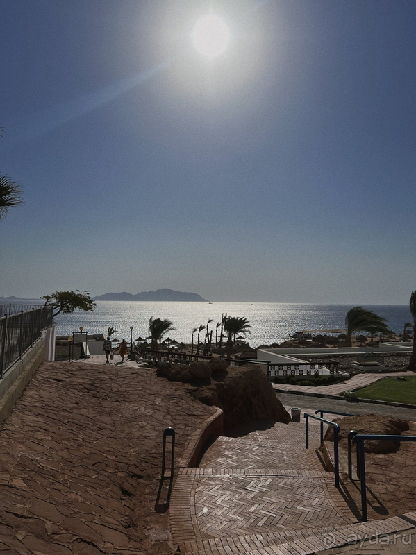 Твердая четверочка!) Твердая четверочка!)