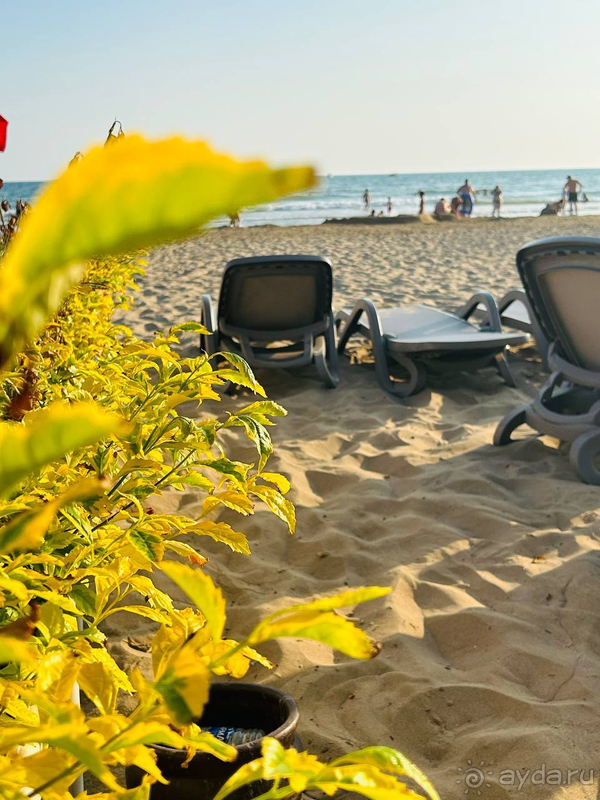 Комфортный отдых в Barut B Suites Комфортный отдых в Barut B Suites