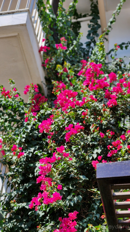 Комфортный отдых в Barut B Suites