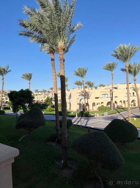 Мы довольны, несмотря на недочеты