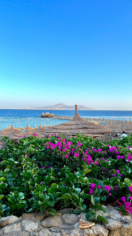 Мы довольны, несмотря на недочеты