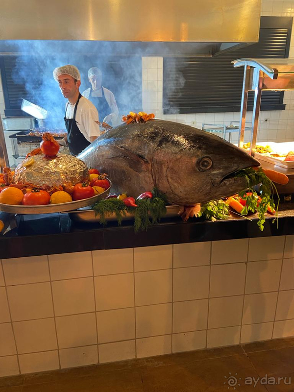 Отдых в отеле Трансатлантик