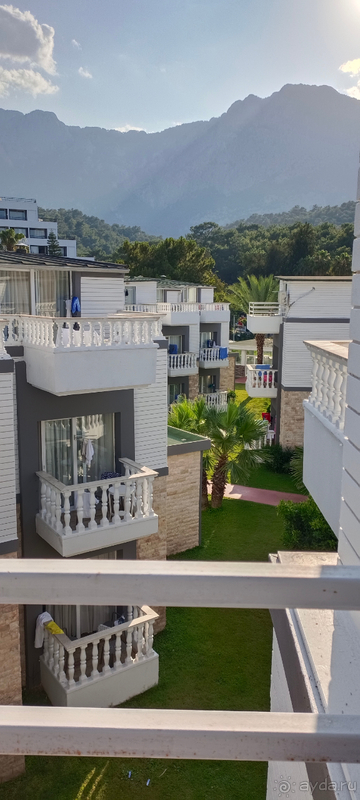 Отзыв положительный Отзыв положительный