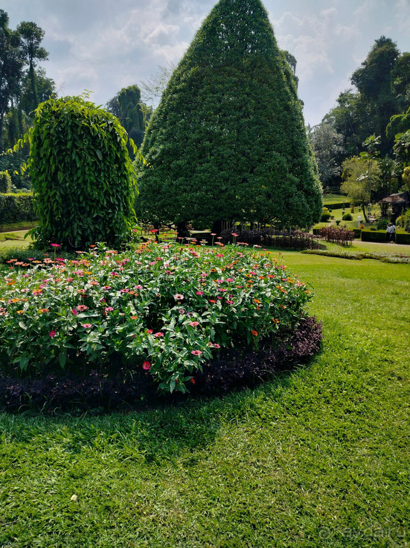 Замечательный отпуск в отличном отеле!!!