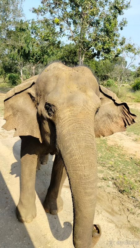 Замечательный отпуск в отличном отеле!!!