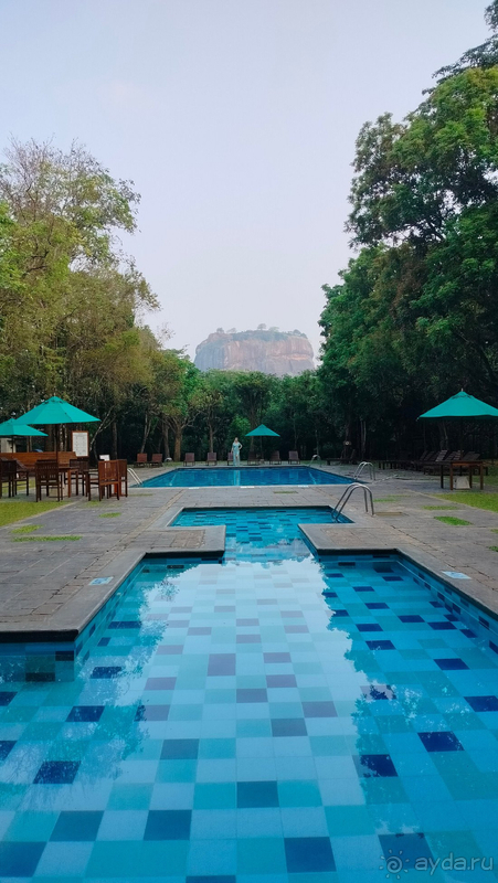 Замечательный отпуск в отличном отеле!!!