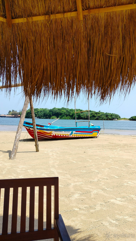 Замечательный отпуск в отличном отеле!!!