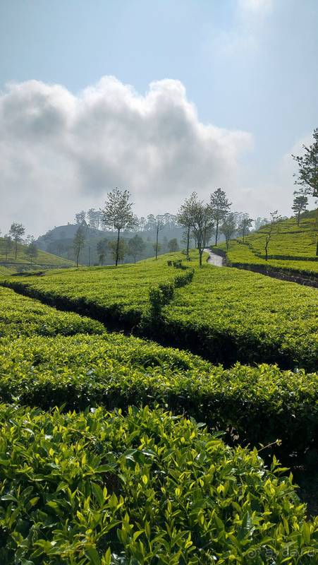 Замечательный отпуск в отличном отеле!!!