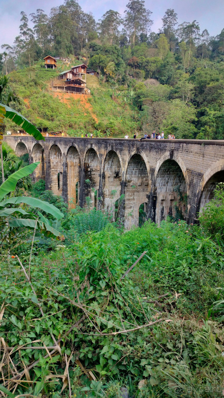 Замечательный отпуск в отличном отеле!!!