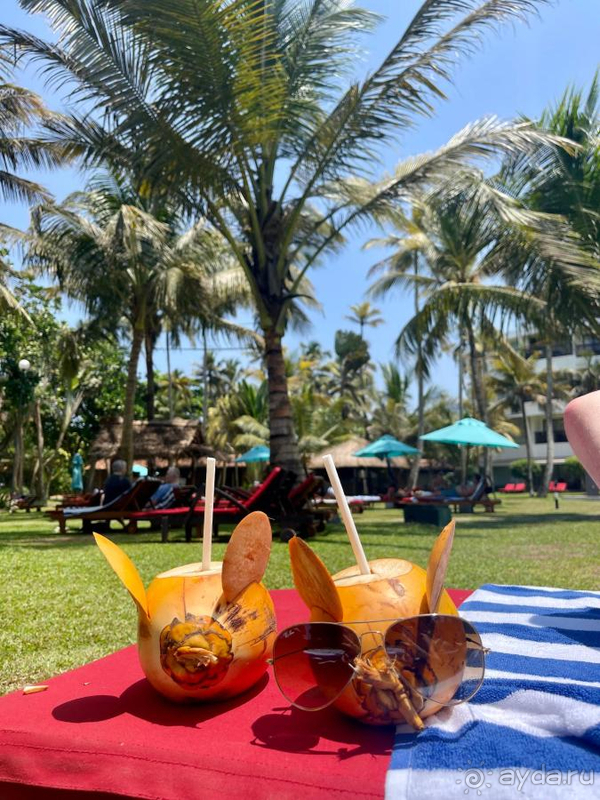 В целом отель хороший, на 4-5 дней самое-то)