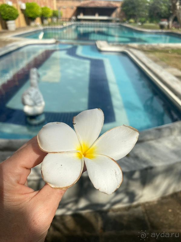 Это был отличный отдых Это был отличный отдых