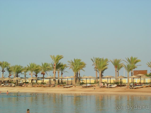 Lilly Land Beach Club