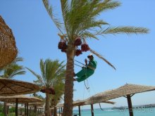 Lilly Land Beach Club
